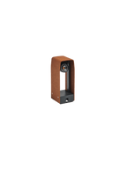 ACE