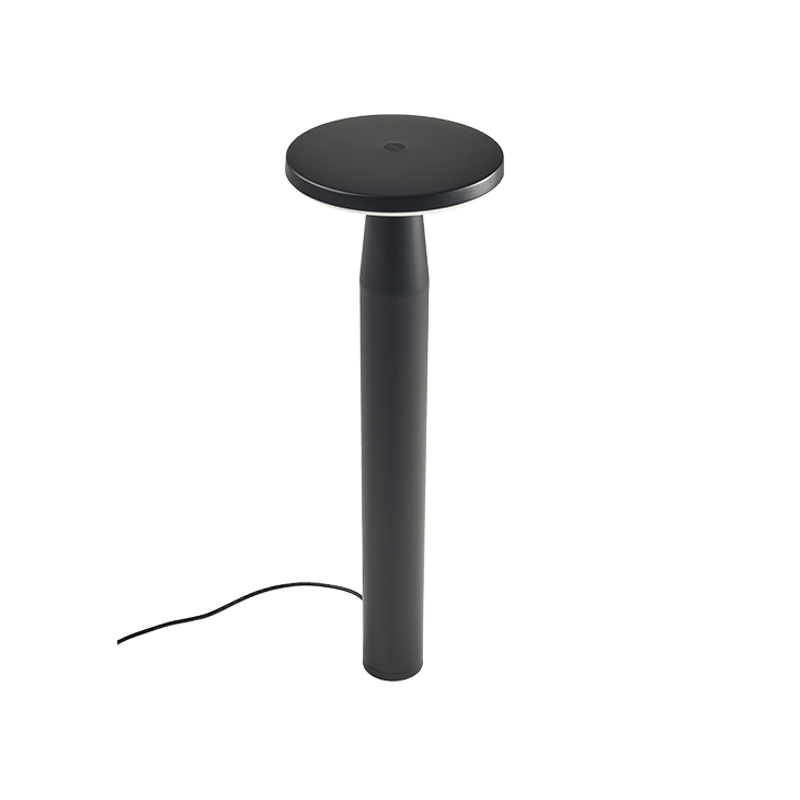 Disc