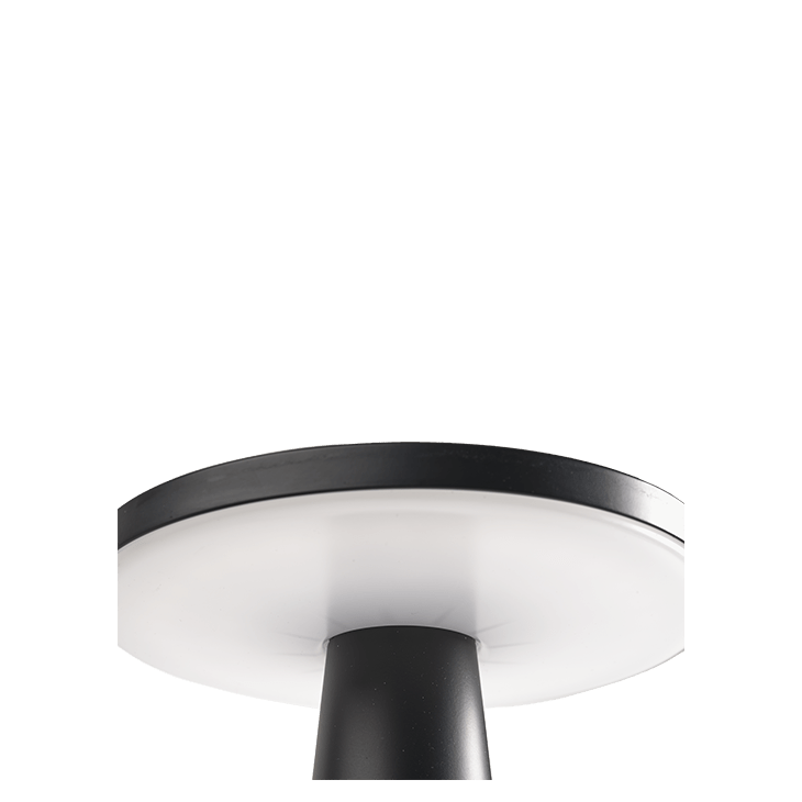 Disc Low