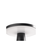 Disc