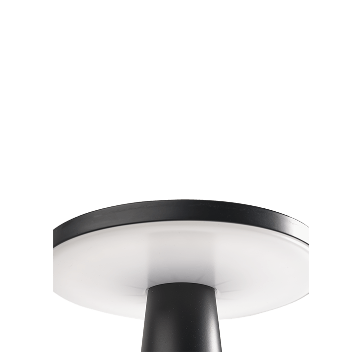 Disc