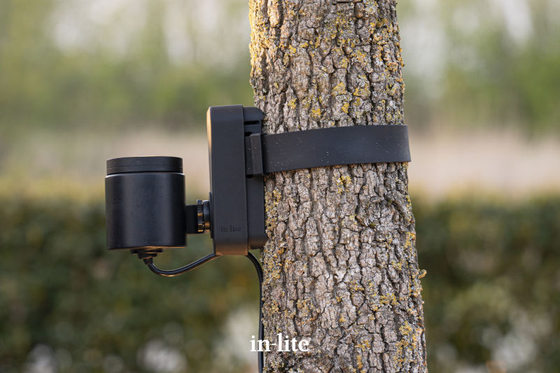 BRACE