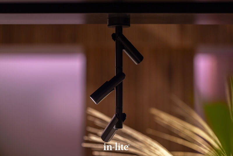 AIM CEILING