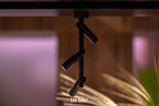 AIM CEILING