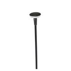 Sway Mini