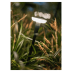 Sway Mini