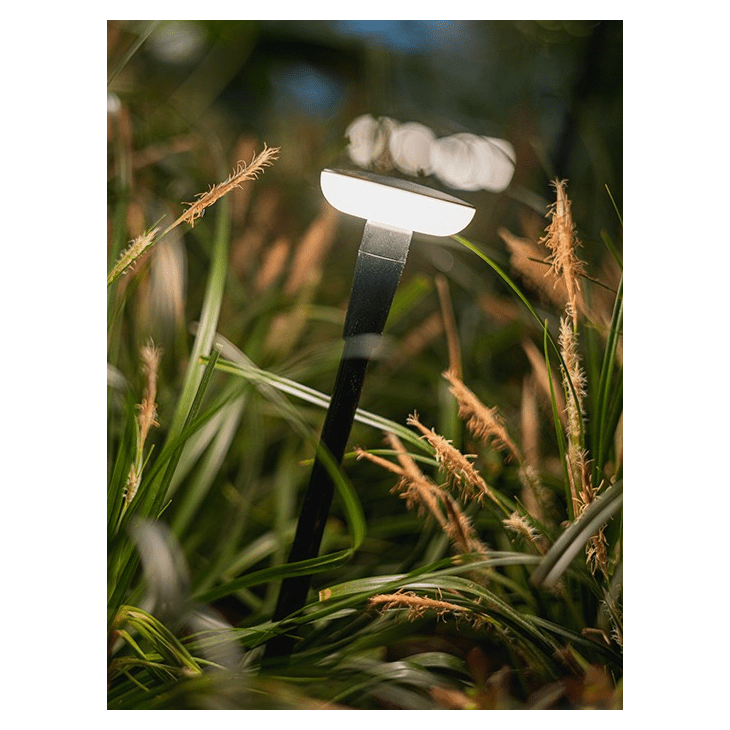 Sway Mini